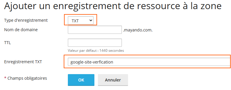 configuration DNS pour google search console